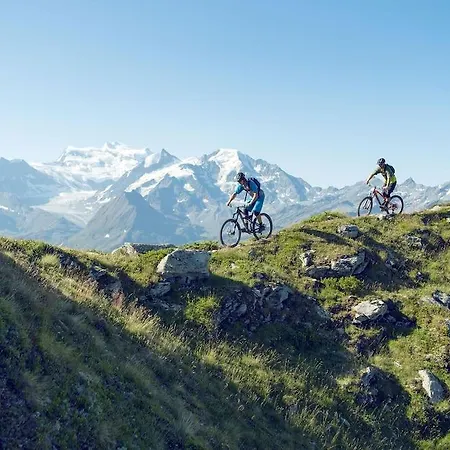 فندق Experimental