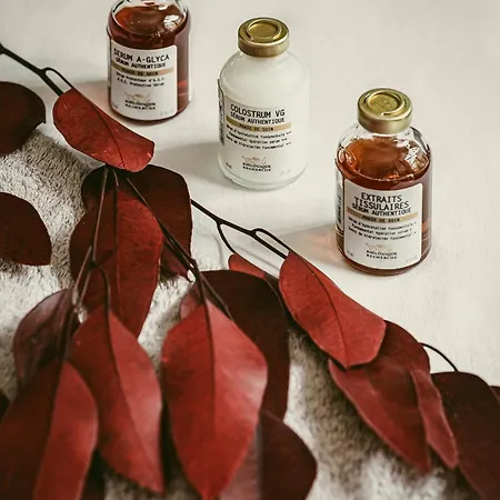 Experimental וורבייה