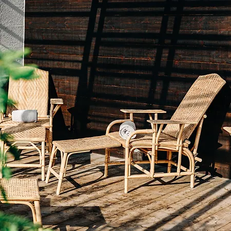 Experimental מלון